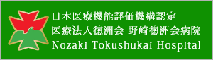 野崎徳洲会病院